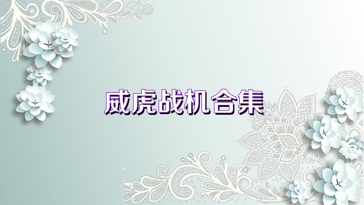 威虎战机合集